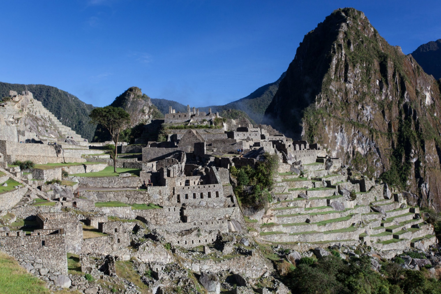 Pérou_Machu Picchu_026